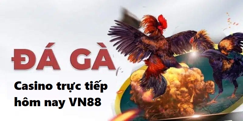 Sơ lược về đá gà casino trực tiếp hôm nay của VN88