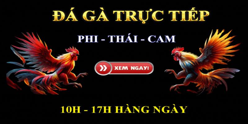 Đá gà casino online của VN88 quy tụ nhiều sản phẩm cá cược