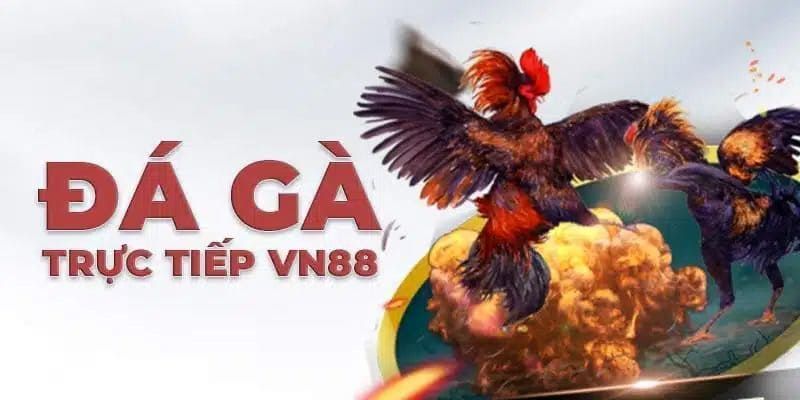 Sơ lược đá gà casino Campuchia VN88