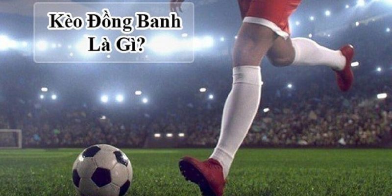 Tìm hiểu kèo đồng banh là gì?